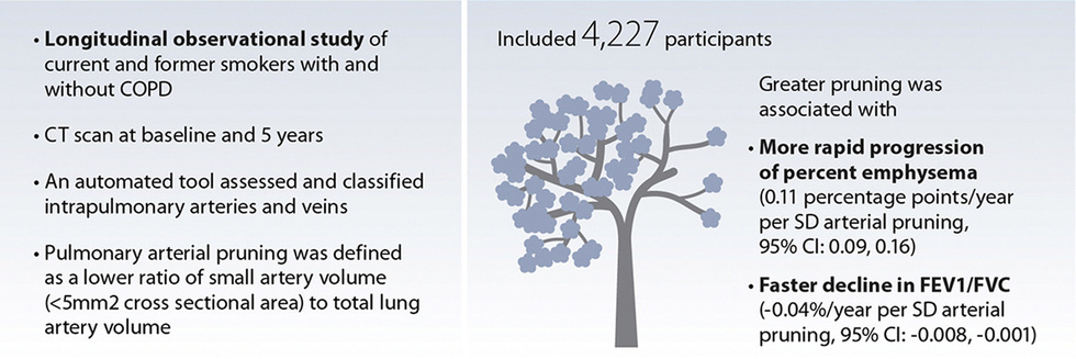 Emphysema progression and pulmonary pruning